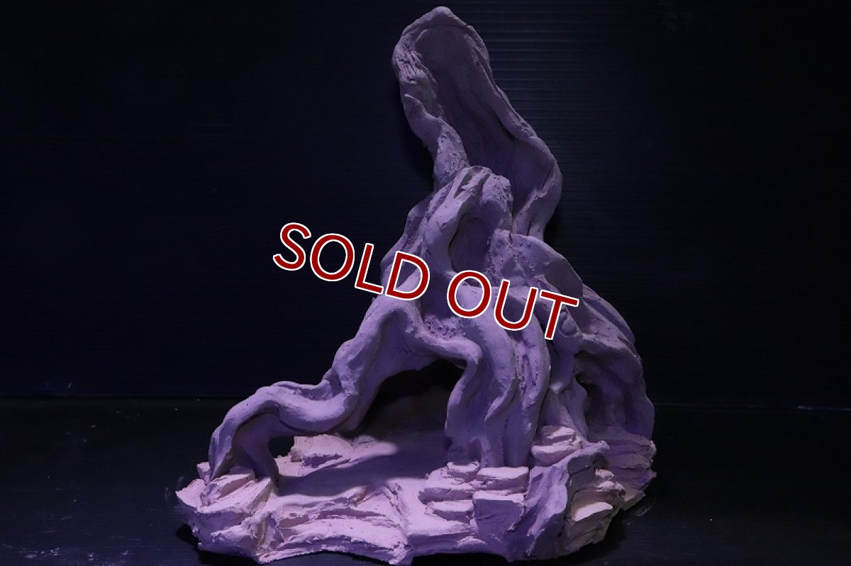 画像3: シェルタクラフタ No1 ROOTS Lサイズ シェルター【個体販売】(淡水) (3)