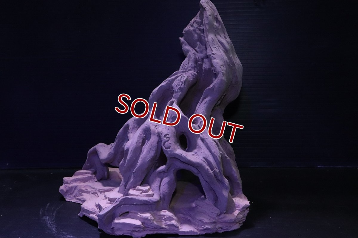 画像5: シェルタクラフタ No1 ROOTS Lサイズ シェルター【個体販売】(淡水) (5)