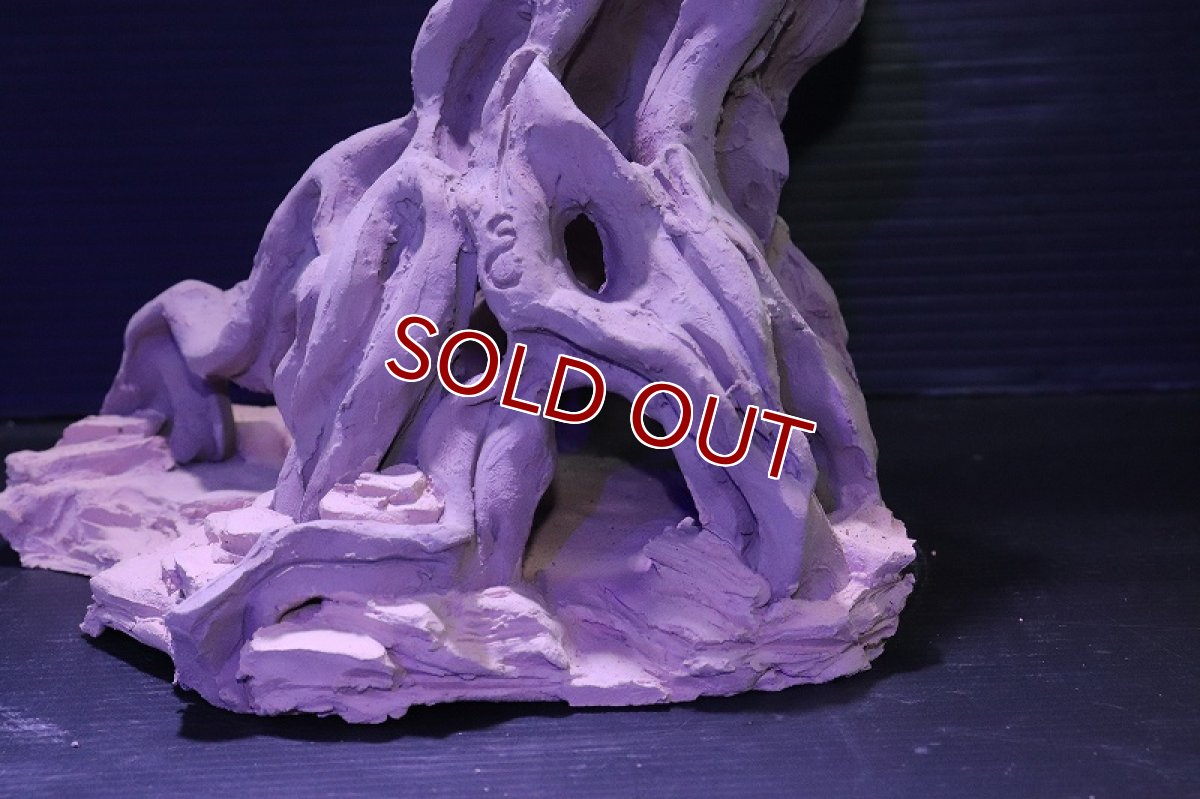 画像6: シェルタクラフタ No1 ROOTS Lサイズ シェルター【個体販売】(淡水) (6)