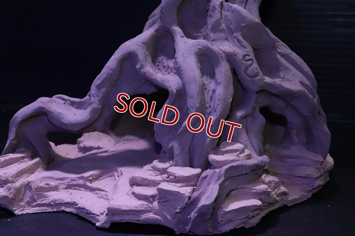 画像7: シェルタクラフタ No1 ROOTS Lサイズ シェルター【個体販売】(淡水) (7)