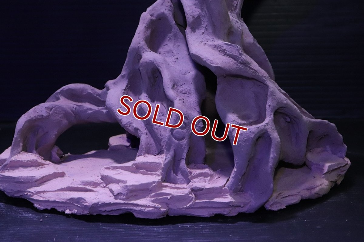 画像3: シェルタクラフタ No2 ROOTS Lサイズ シェルター【個体販売】(淡水) (3)