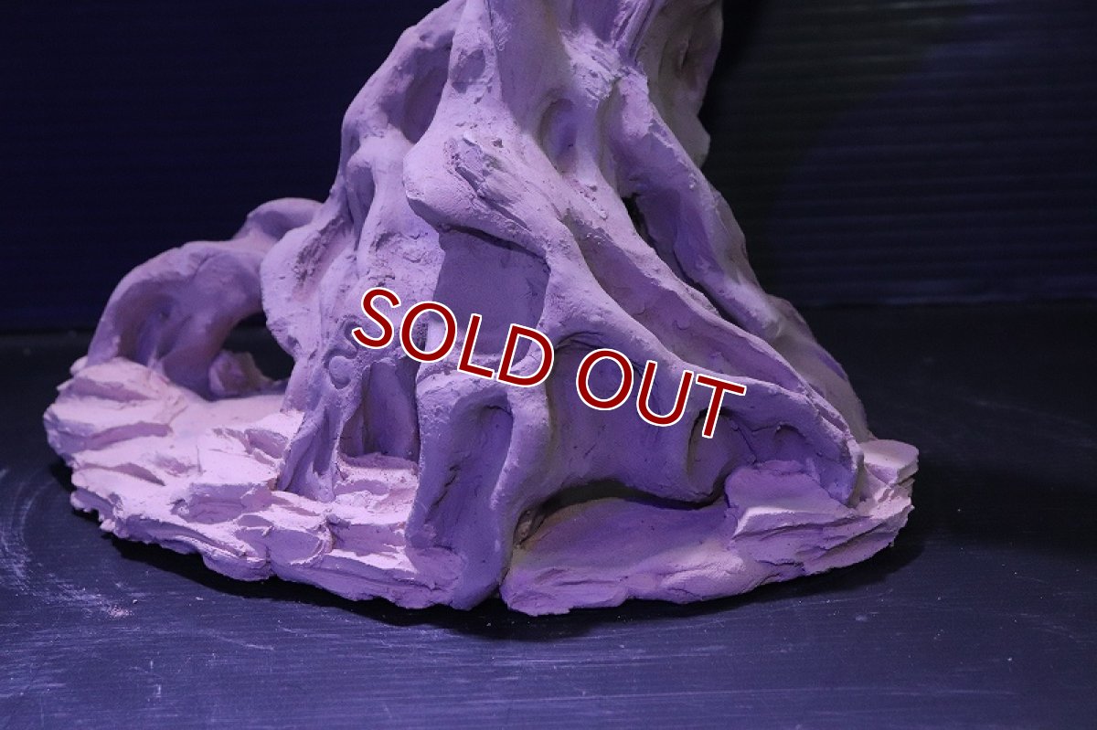 画像7: シェルタクラフタ No2 ROOTS Lサイズ シェルター【個体販売】(淡水) (7)