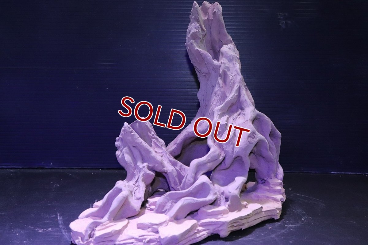 画像4: シェルタクラフタ No1 ROOTS XLサイズ シェルター【個体販売】(淡水) (4)