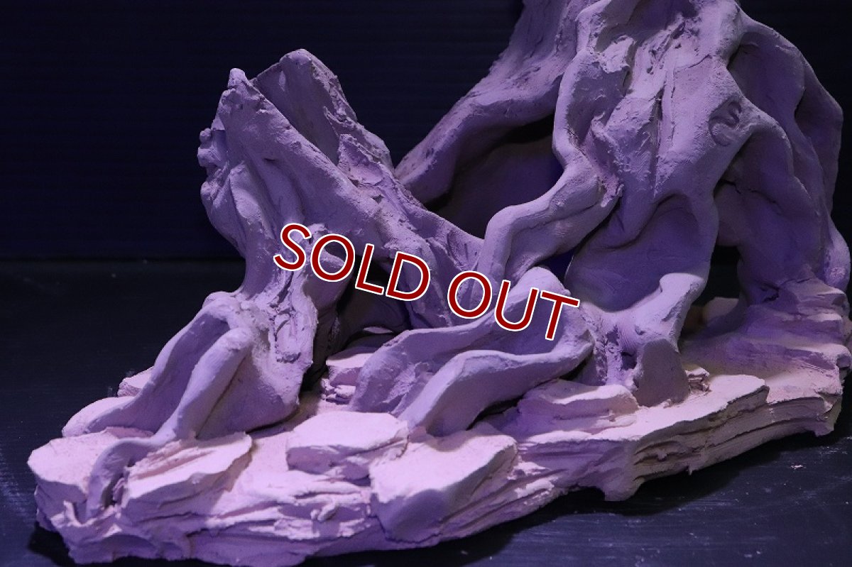 画像5: シェルタクラフタ No1 ROOTS XLサイズ シェルター【個体販売】(淡水) (5)