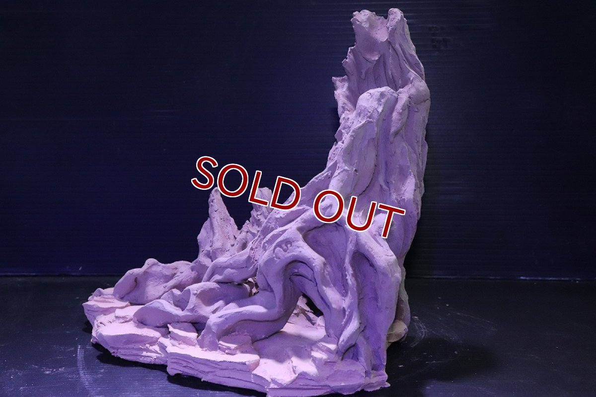 画像6: シェルタクラフタ No1 ROOTS XLサイズ シェルター【個体販売】(淡水) (6)