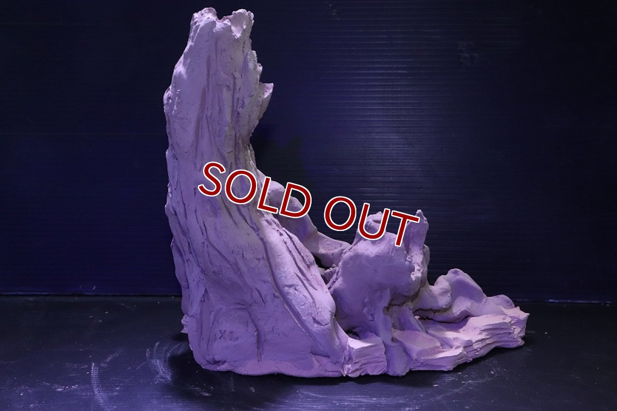 画像8: シェルタクラフタ No1 ROOTS XLサイズ シェルター【個体販売】(淡水) (8)