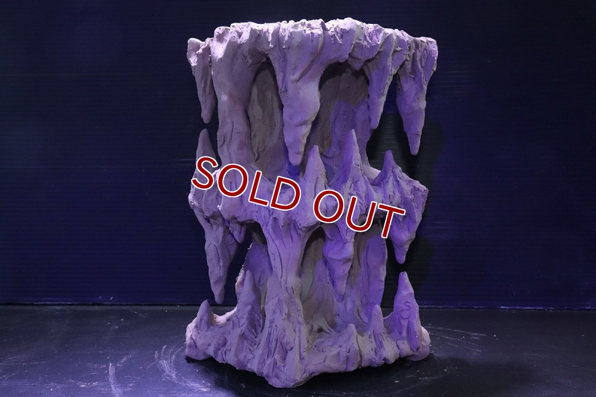 画像2: シェルタクラフタ No1 鍾乳石タワー2段 シェルター【個体販売】(淡水) (2)