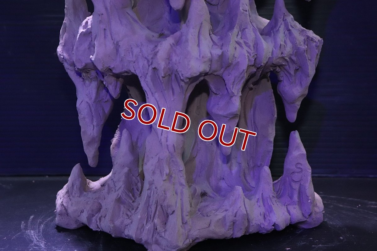 画像3: シェルタクラフタ No1 鍾乳石タワー2段 シェルター【個体販売】(淡水) (3)