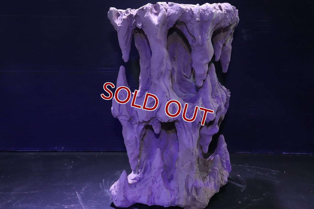 画像5: シェルタクラフタ No1 鍾乳石タワー2段 シェルター【個体販売】(淡水) (5)