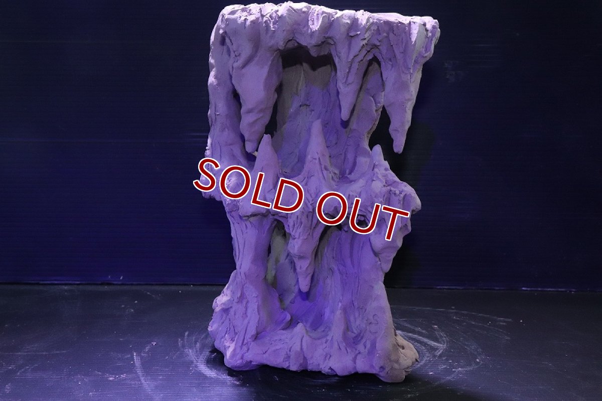 画像7: シェルタクラフタ No1 鍾乳石タワー2段 シェルター【個体販売】(淡水) (7)