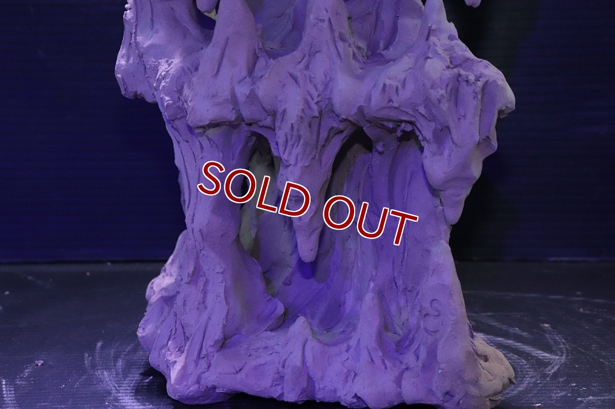 画像8: シェルタクラフタ No1 鍾乳石タワー2段 シェルター【個体販売】(淡水) (8)