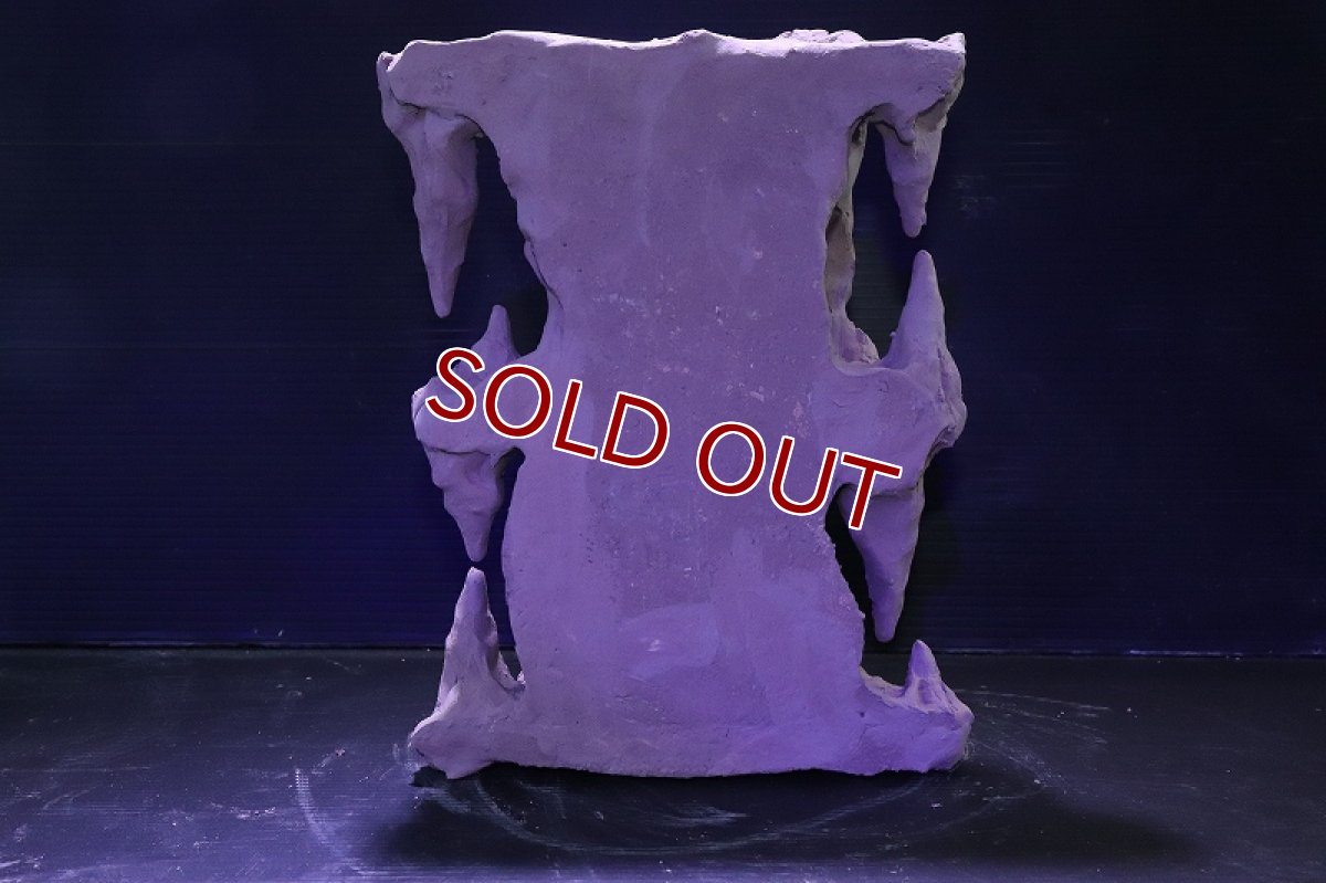 画像9: シェルタクラフタ No1 鍾乳石タワー2段 シェルター【個体販売】(淡水) (9)