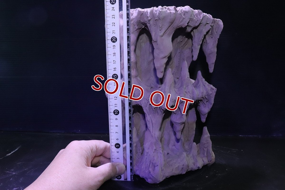 画像10: シェルタクラフタ No1 鍾乳石タワー2段 シェルター【個体販売】(淡水) (10)