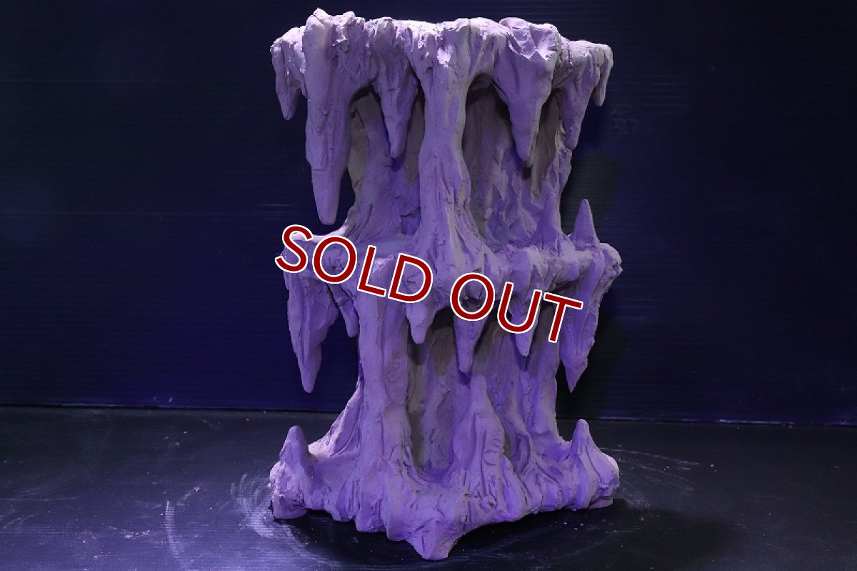 画像2: シェルタクラフタ No2 鍾乳石タワー2段 シェルター【個体販売】(淡水) (2)