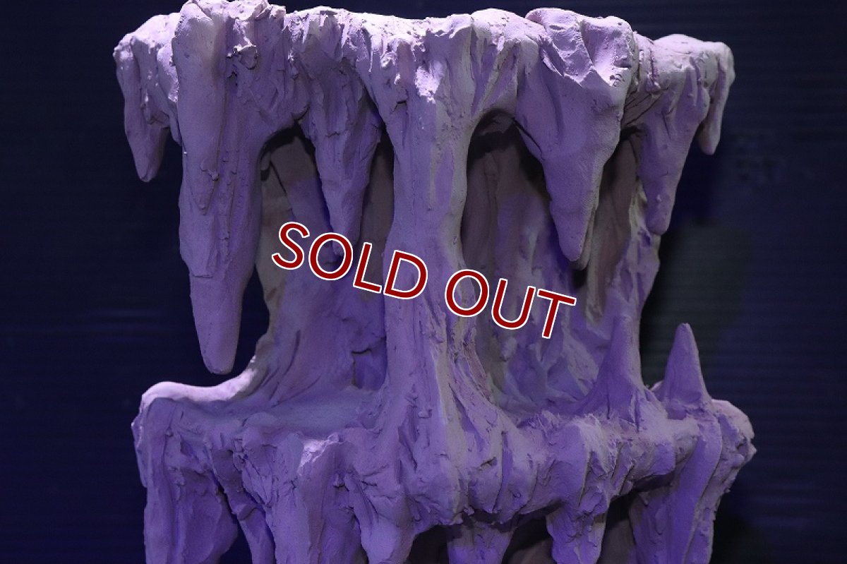 画像3: シェルタクラフタ No2 鍾乳石タワー2段 シェルター【個体販売】(淡水) (3)