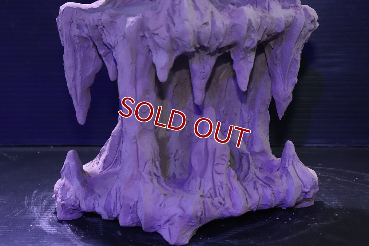 画像4: シェルタクラフタ No2 鍾乳石タワー2段 シェルター【個体販売】(淡水) (4)