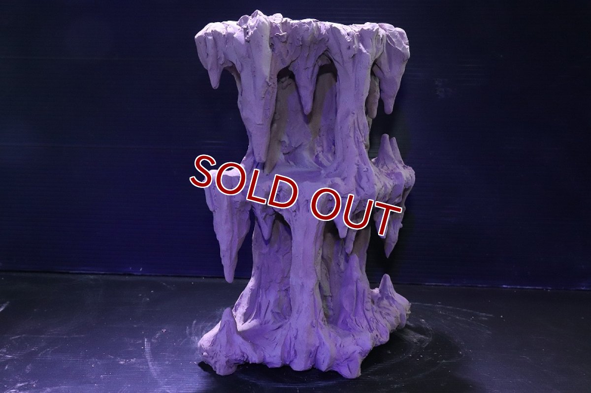 画像5: シェルタクラフタ No2 鍾乳石タワー2段 シェルター【個体販売】(淡水) (5)