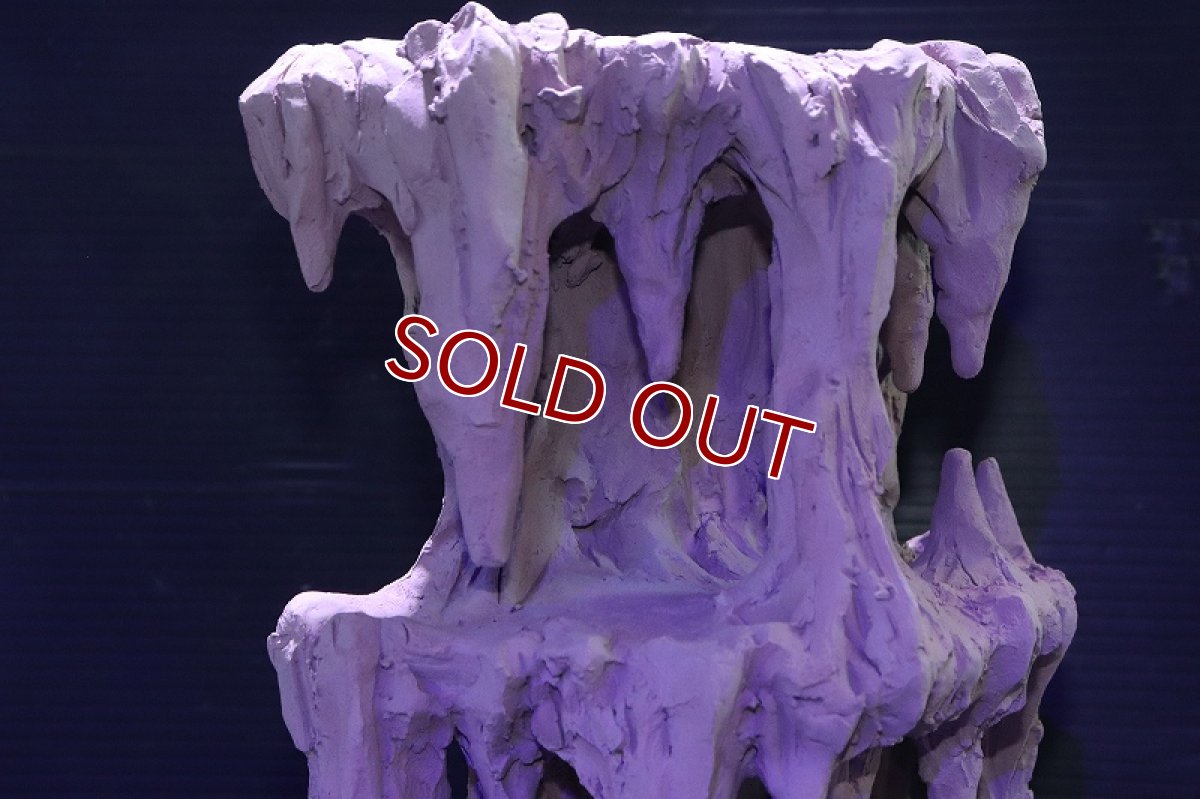 画像6: シェルタクラフタ No2 鍾乳石タワー2段 シェルター【個体販売】(淡水) (6)