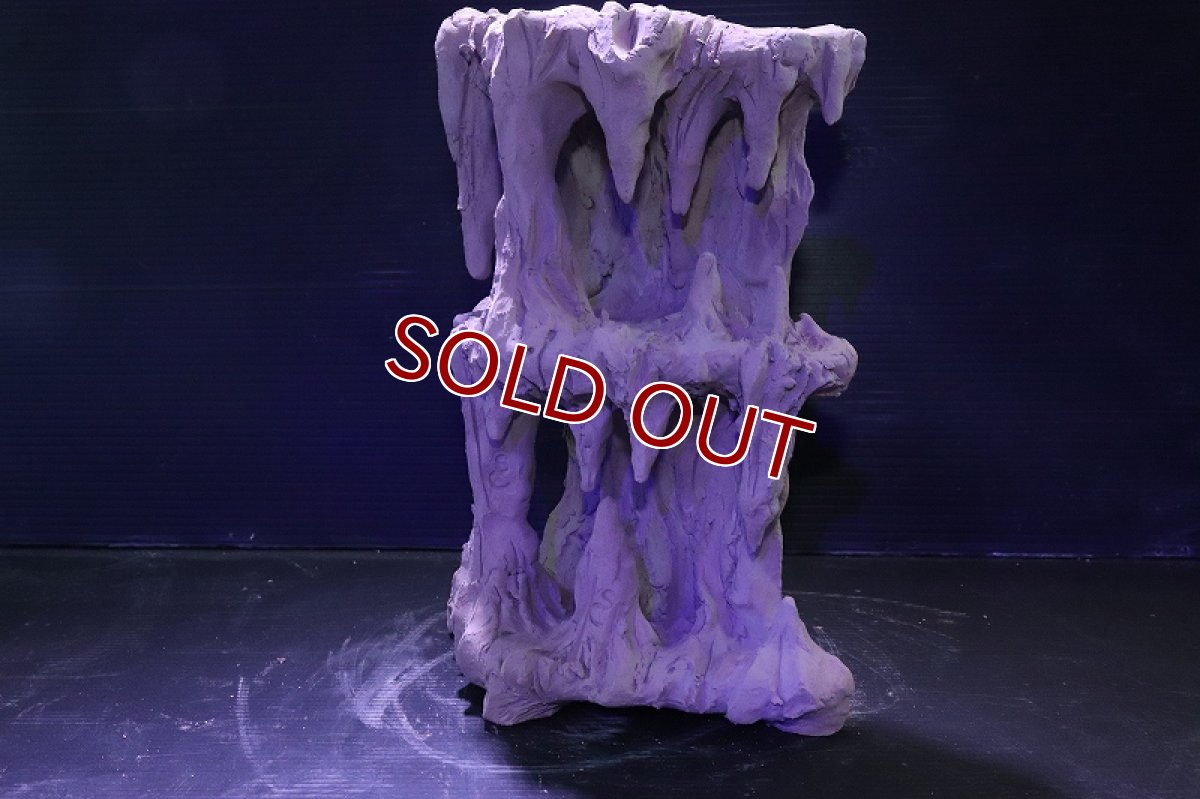 画像7: シェルタクラフタ No2 鍾乳石タワー2段 シェルター【個体販売】(淡水) (7)