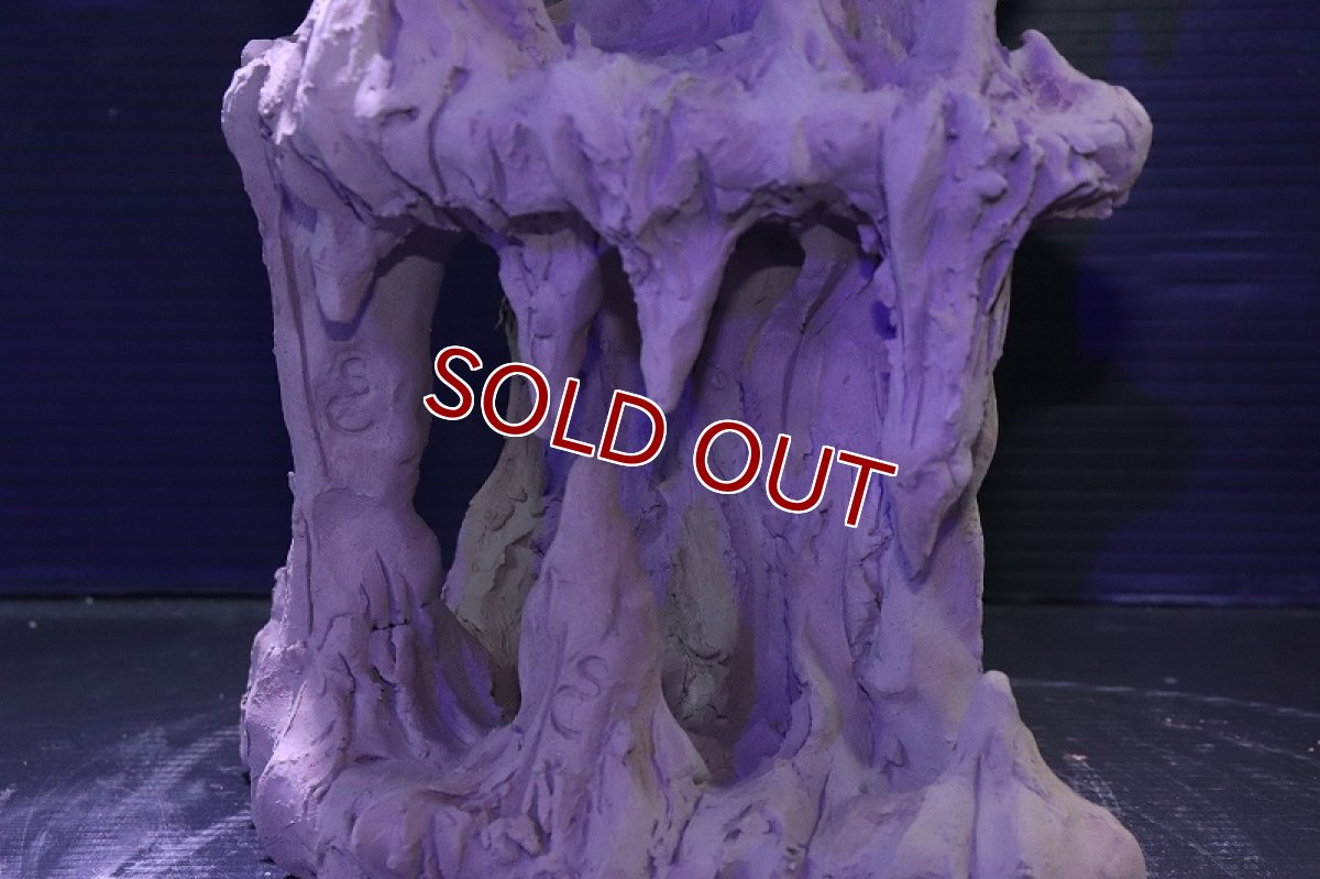 画像8: シェルタクラフタ No2 鍾乳石タワー2段 シェルター【個体販売】(淡水) (8)