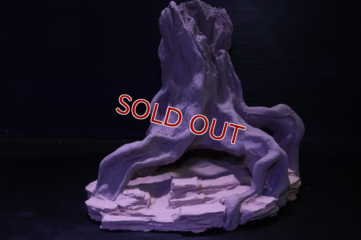 画像4: シェルタクラフタ No1 ROOTS Mサイズ シェルター【個体販売】(淡水) (4)