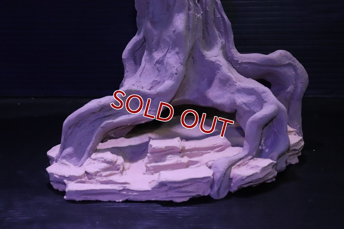 画像5: シェルタクラフタ No1 ROOTS Mサイズ シェルター【個体販売】(淡水) (5)