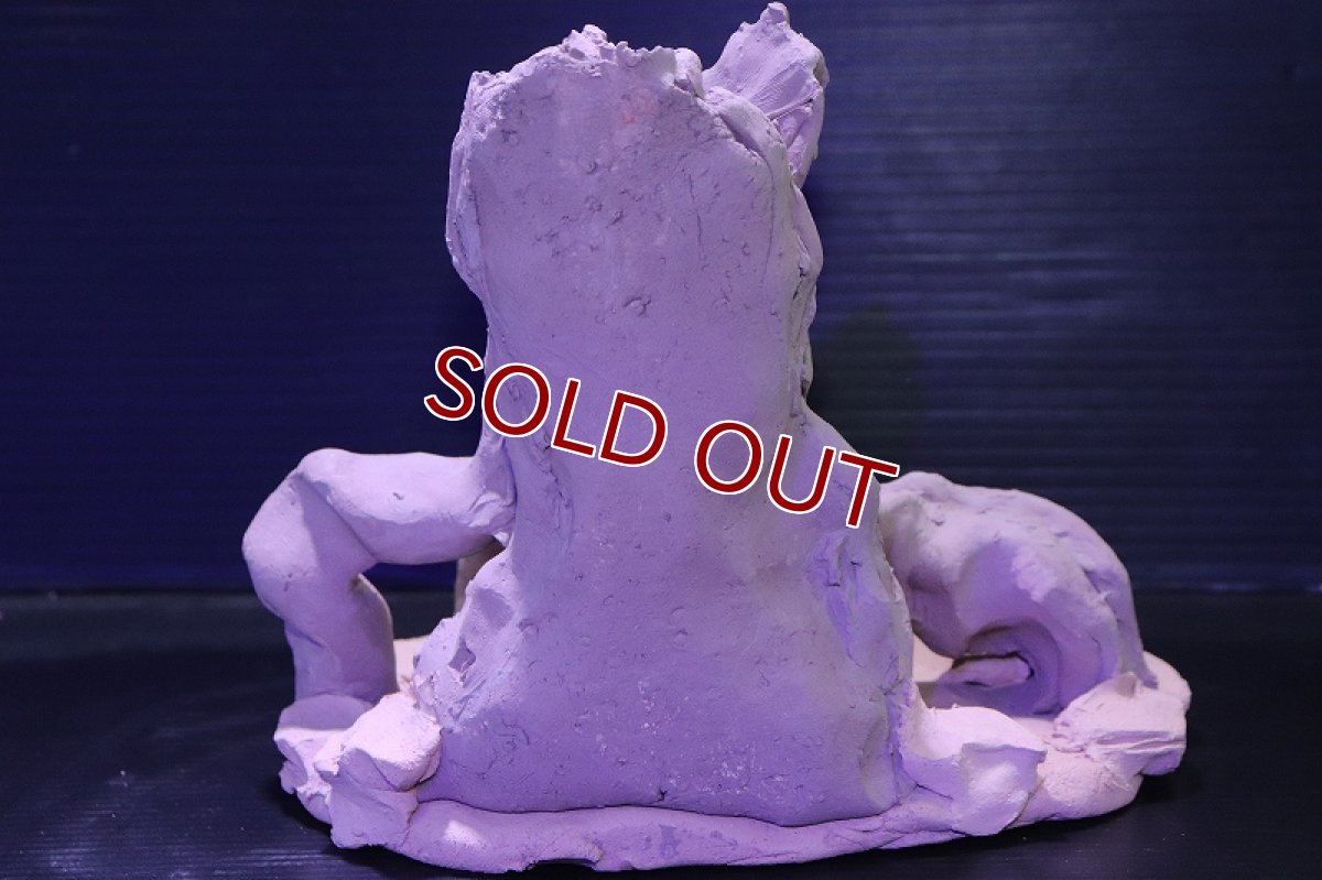 画像8: シェルタクラフタ No1 ROOTS Mサイズ シェルター【個体販売】(淡水) (8)