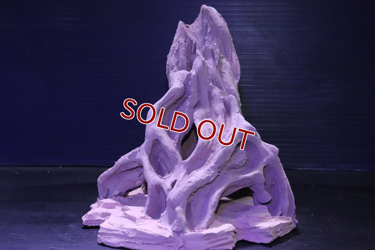 画像2: シェルタクラフタ No2 ROOTS Mサイズ シェルター【個体販売】(淡水) (2)