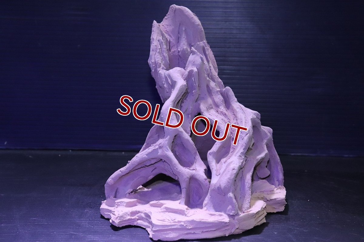 画像3: シェルタクラフタ No2 ROOTS Mサイズ シェルター【個体販売】(淡水) (3)