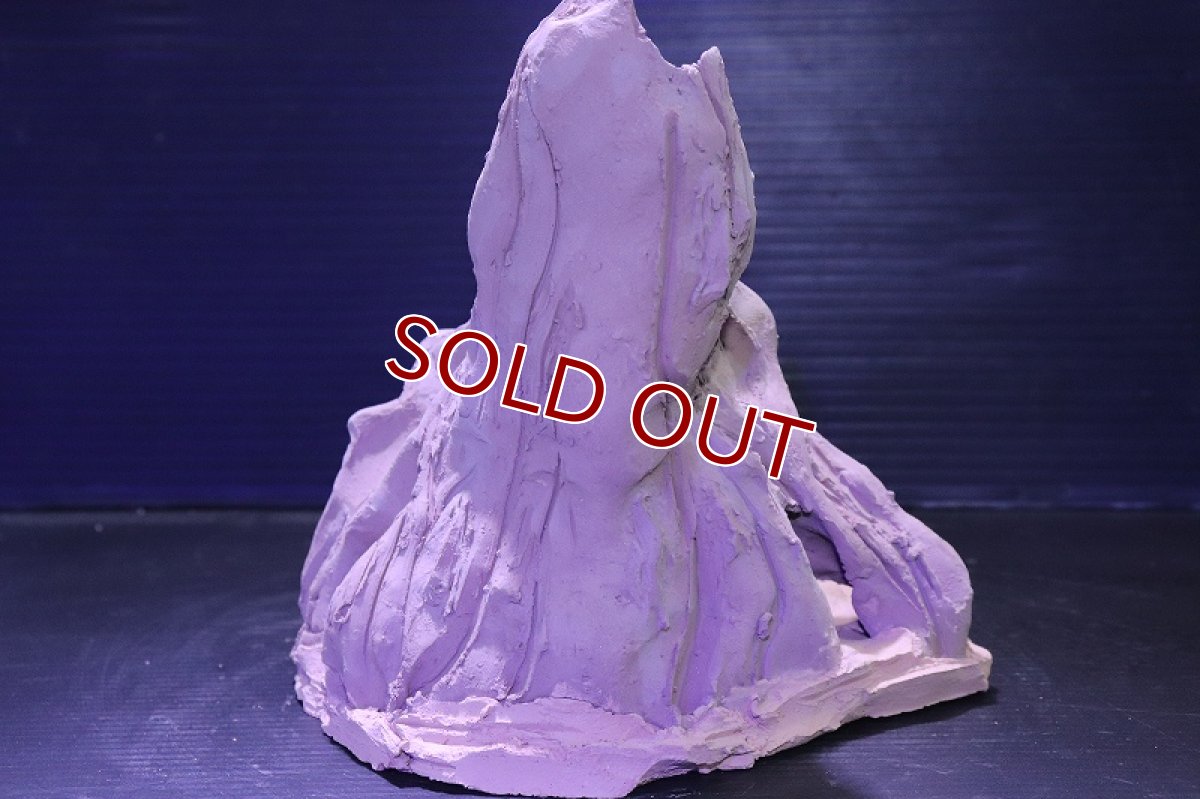 画像7: シェルタクラフタ No2 ROOTS Mサイズ シェルター【個体販売】(淡水) (7)