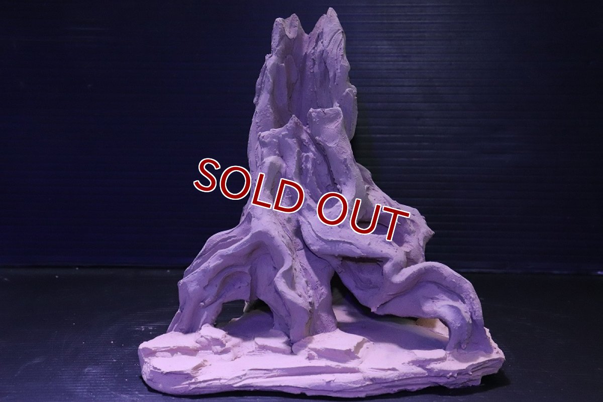 画像2: シェルタクラフタ No3 ROOTS Mサイズ シェルター【個体販売】(淡水) (2)