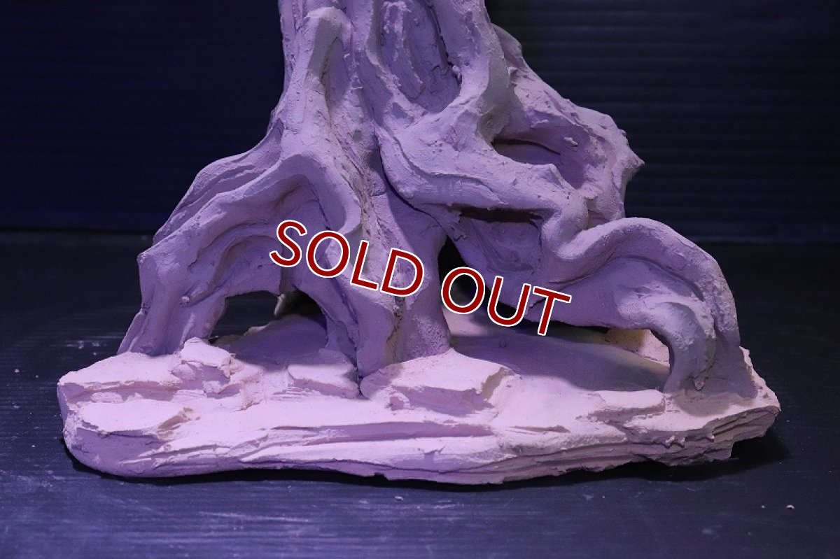 画像3: シェルタクラフタ No3 ROOTS Mサイズ シェルター【個体販売】(淡水) (3)