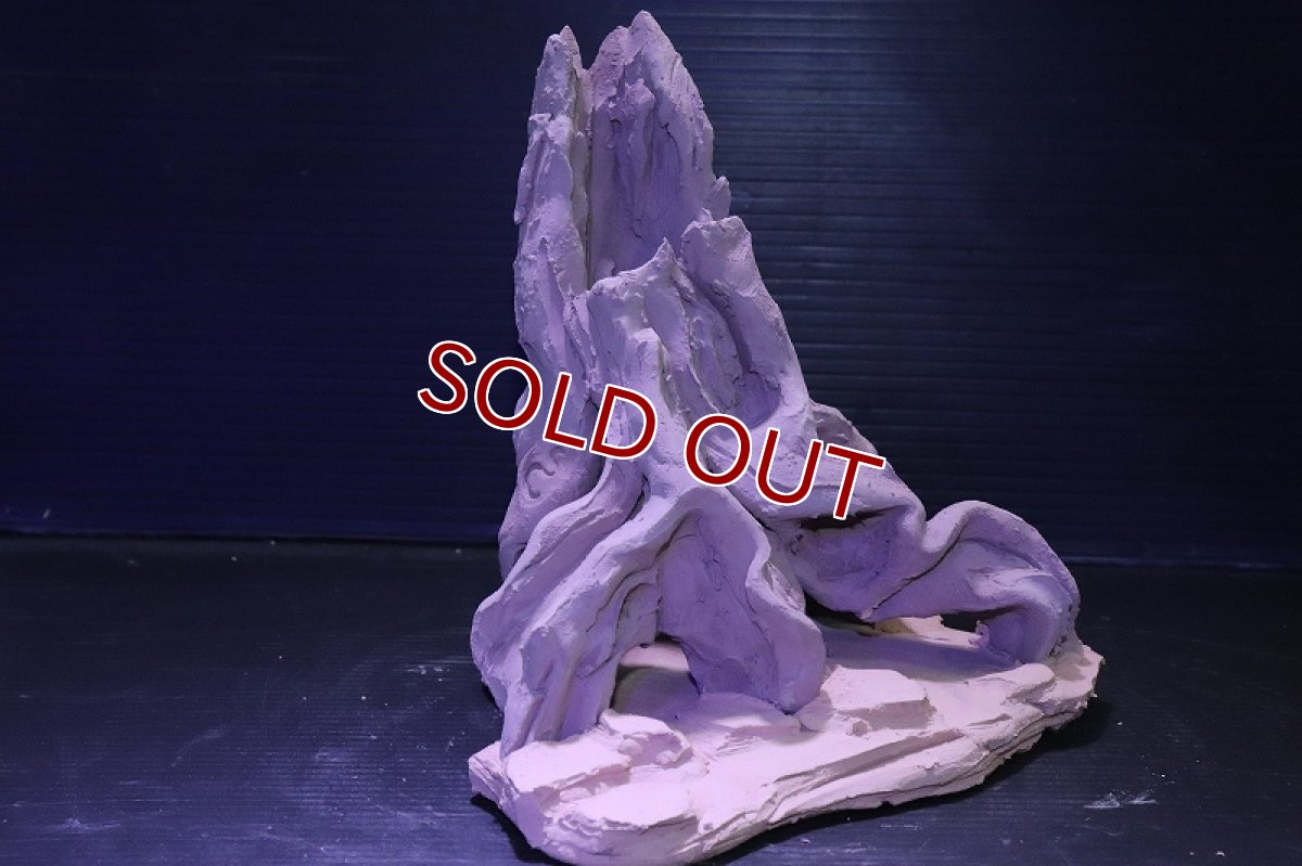 画像4: シェルタクラフタ No3 ROOTS Mサイズ シェルター【個体販売】(淡水) (4)