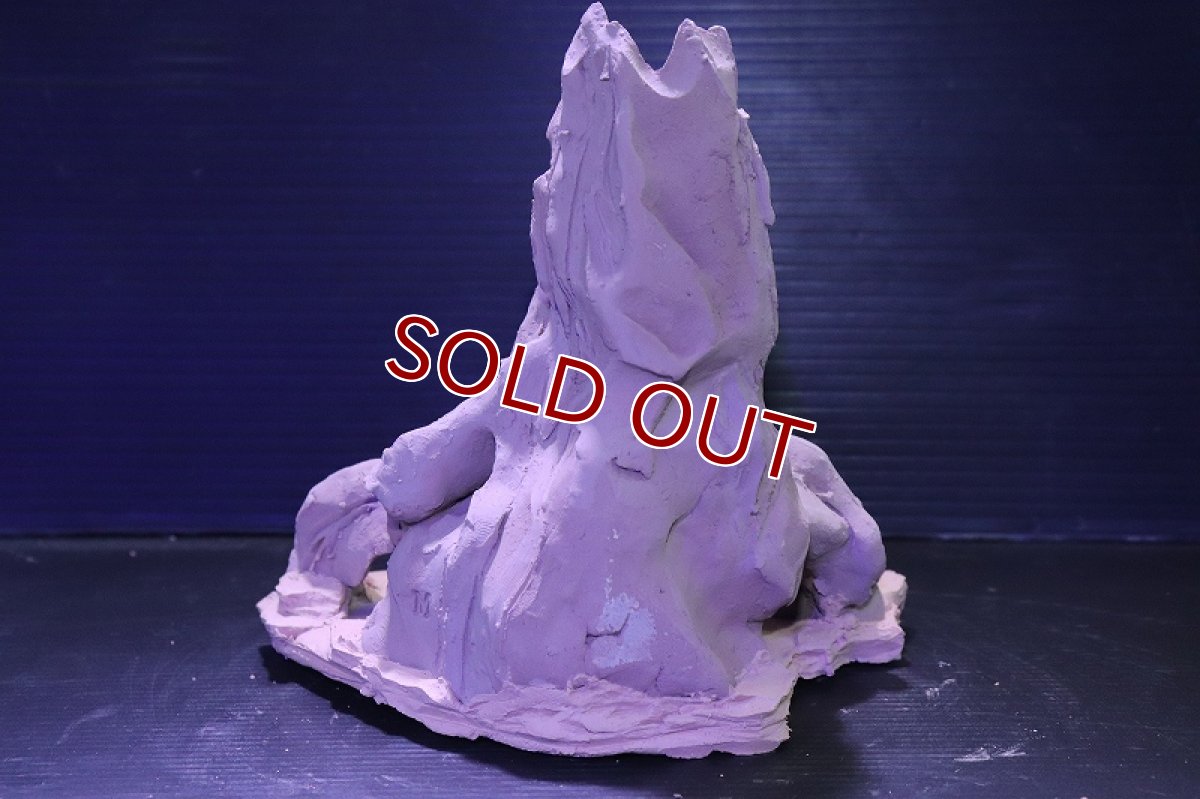 画像8: シェルタクラフタ No3 ROOTS Mサイズ シェルター【個体販売】(淡水) (8)