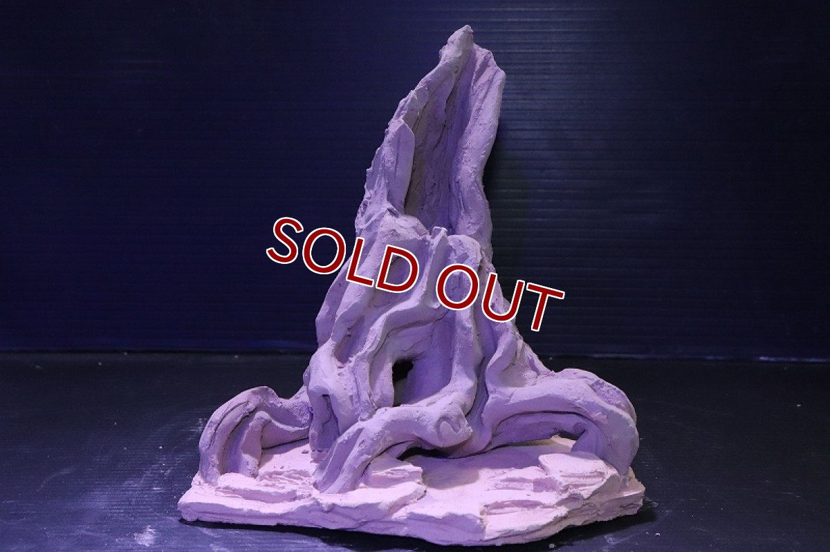 画像2: シェルタクラフタ No5 ROOTS Mサイズシェルター【個体販売】(淡水) (2)