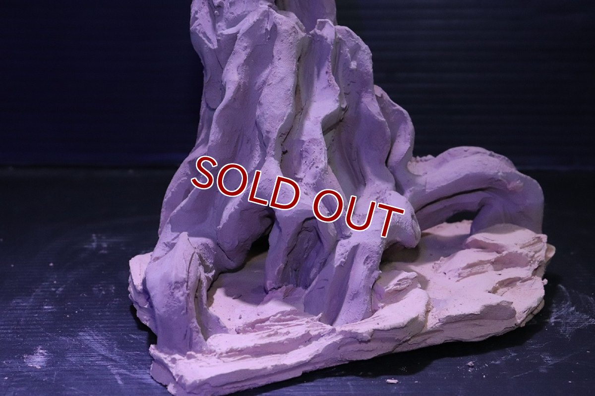 画像5: シェルタクラフタ No5 ROOTS Mサイズシェルター【個体販売】(淡水) (5)