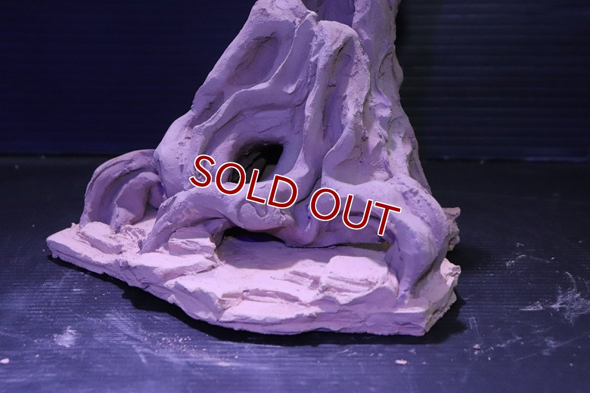 画像7: シェルタクラフタ No5 ROOTS Mサイズシェルター【個体販売】(淡水) (7)