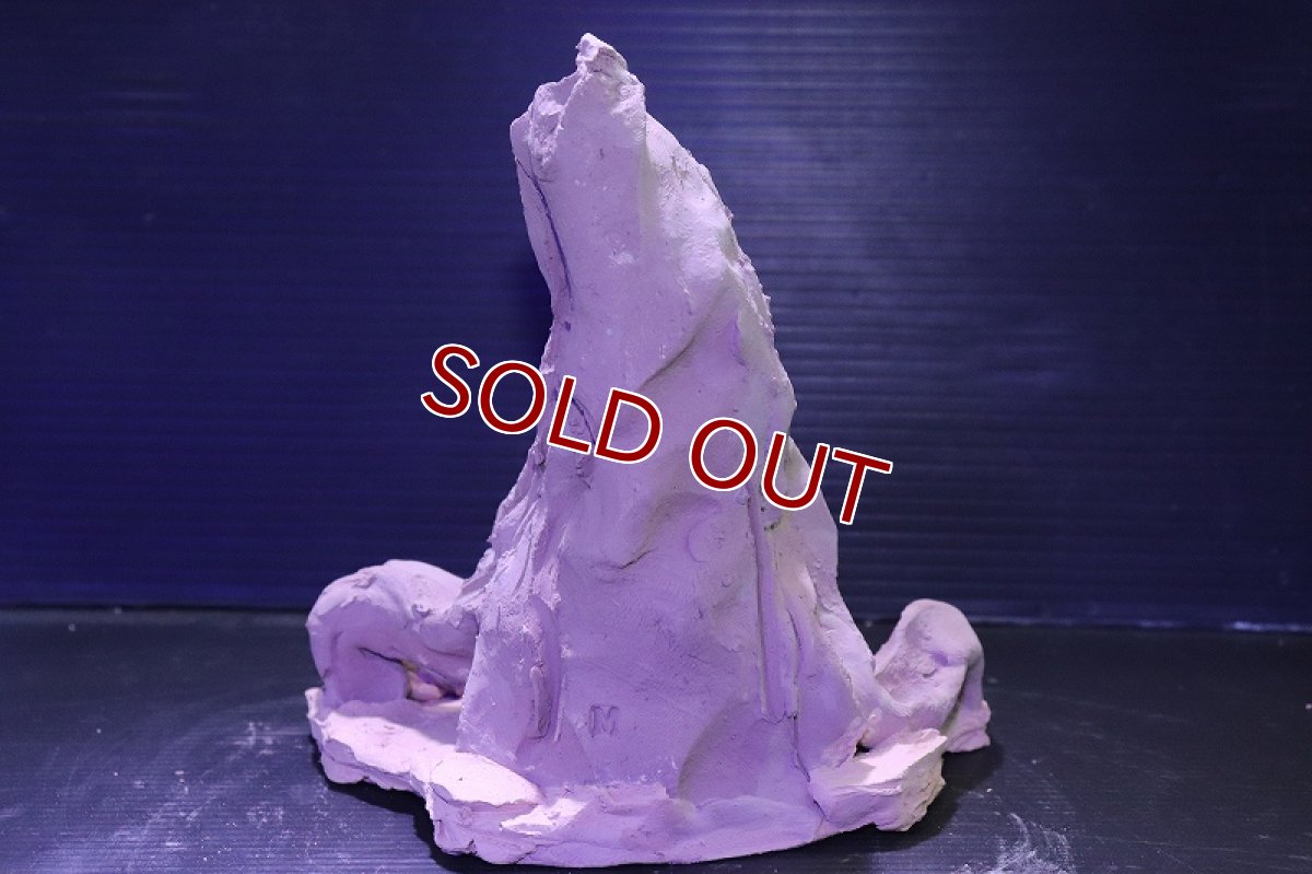 画像8: シェルタクラフタ No5 ROOTS Mサイズシェルター【個体販売】(淡水) (8)