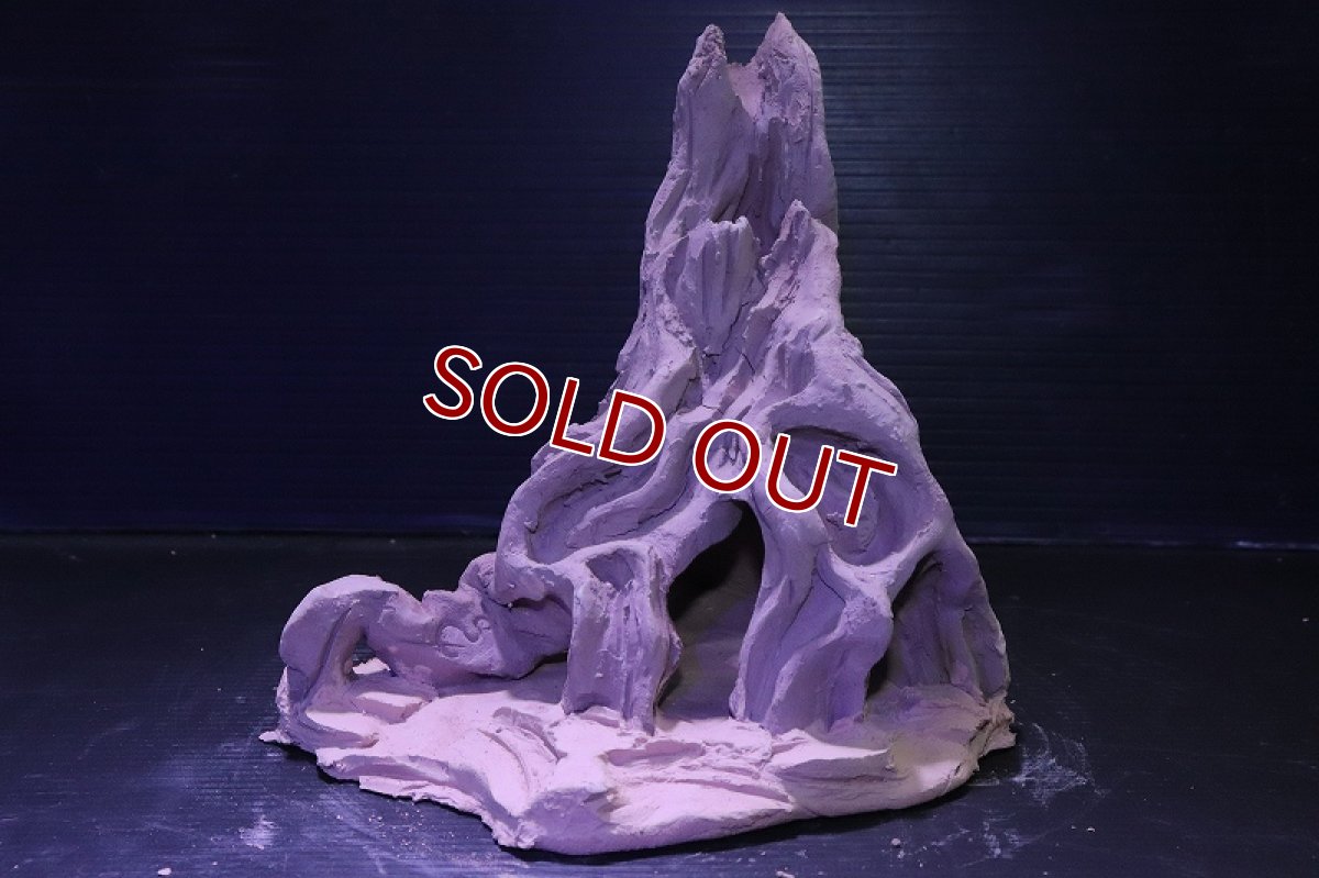 画像2: シェルタクラフタ No6 ROOTS Mサイズ シェルター【個体販売】(淡水) (2)