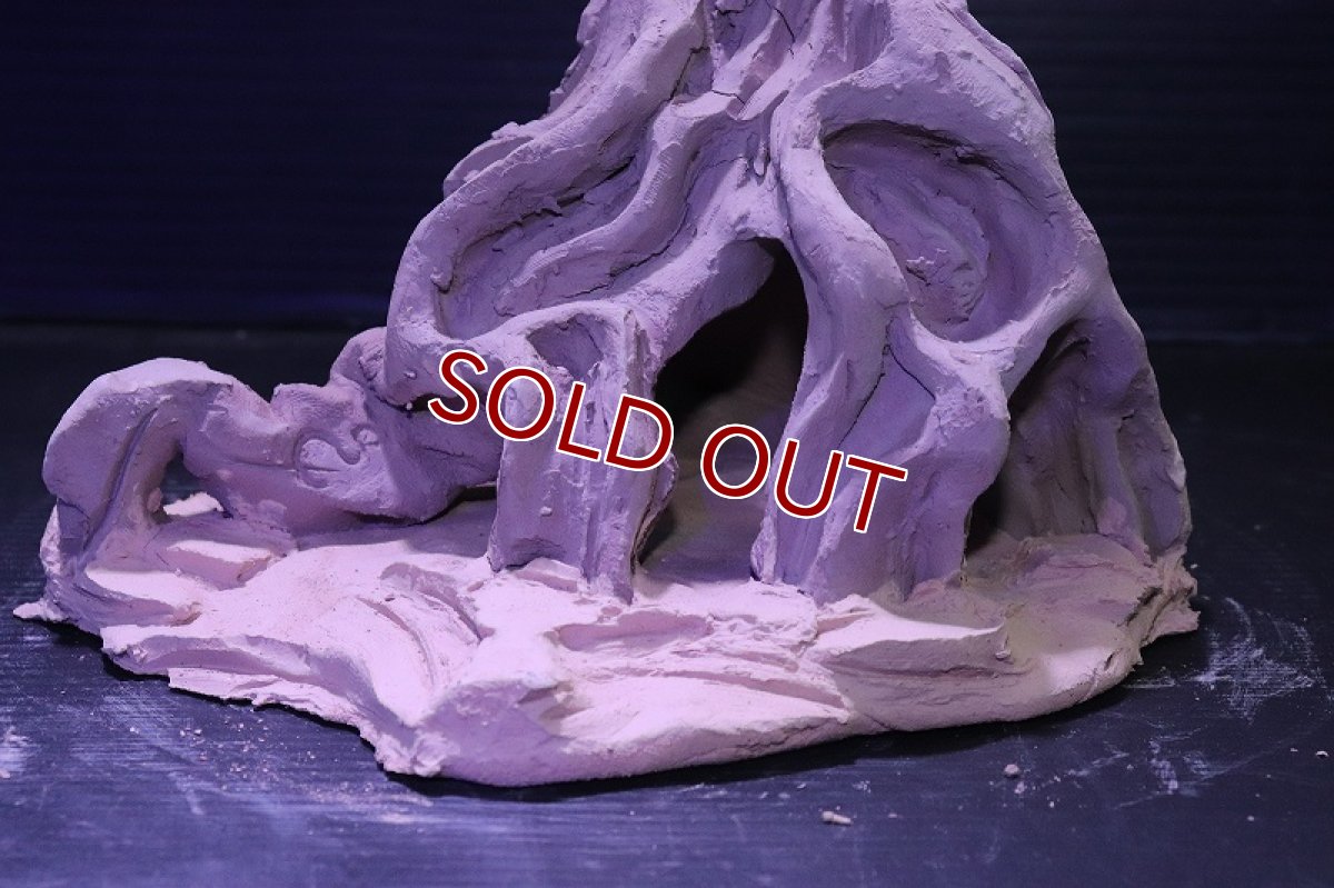 画像3: シェルタクラフタ No6 ROOTS Mサイズ シェルター【個体販売】(淡水) (3)