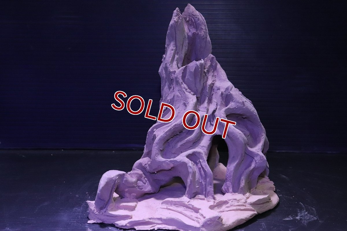 画像4: シェルタクラフタ No6 ROOTS Mサイズ シェルター【個体販売】(淡水) (4)