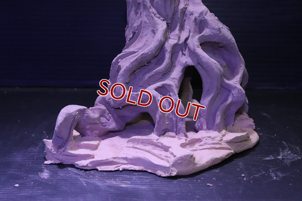 画像5: シェルタクラフタ No6 ROOTS Mサイズ シェルター【個体販売】(淡水) (5)