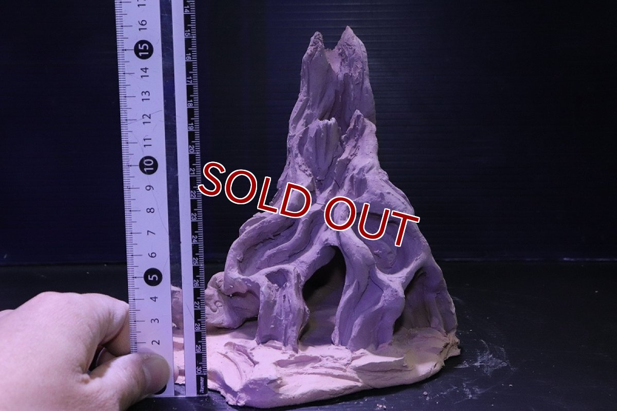 画像10: シェルタクラフタ No6 ROOTS Mサイズ シェルター【個体販売】(淡水) (10)