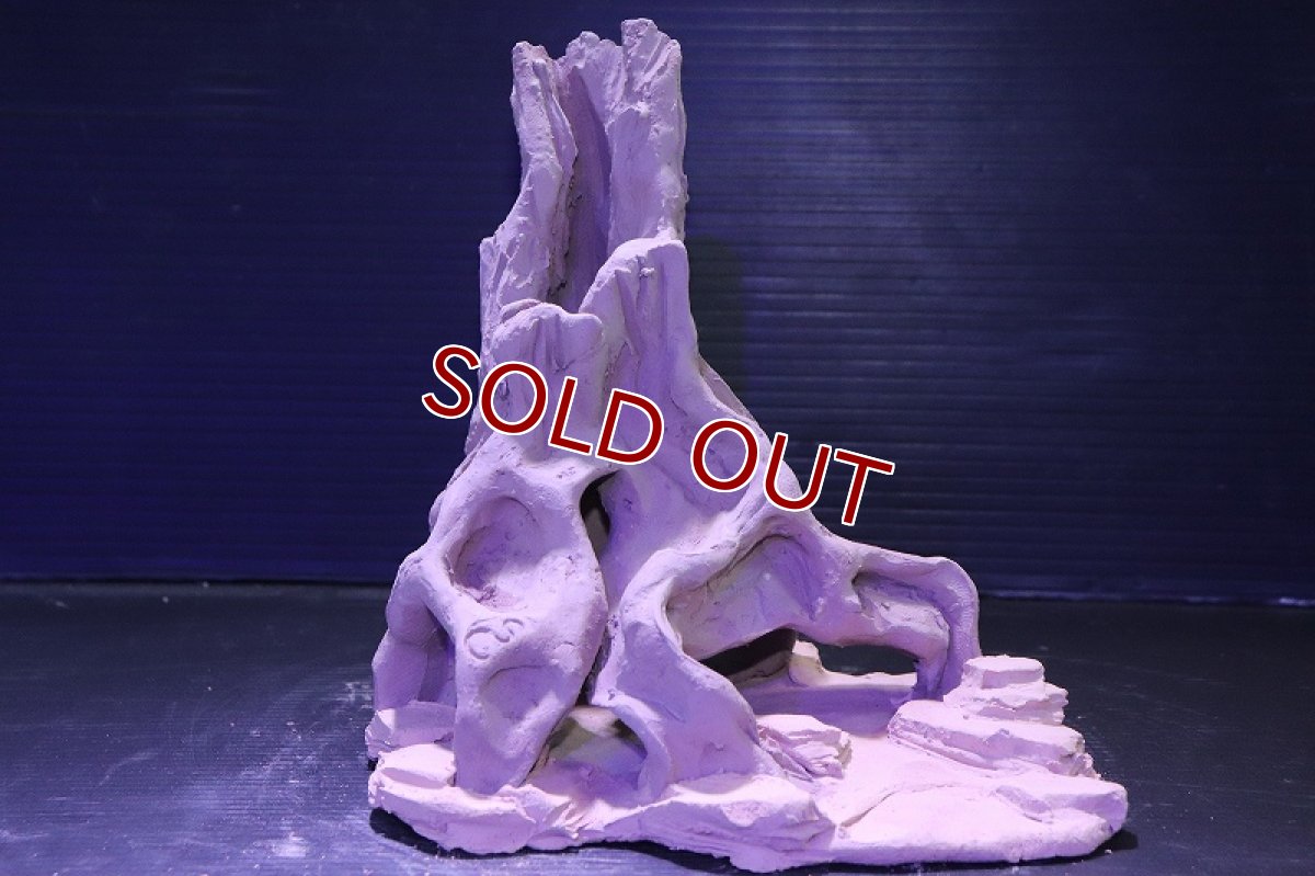 画像2: シェルタクラフタ No7 ROOTS Mサイズシェルター【個体販売】(淡水) (2)