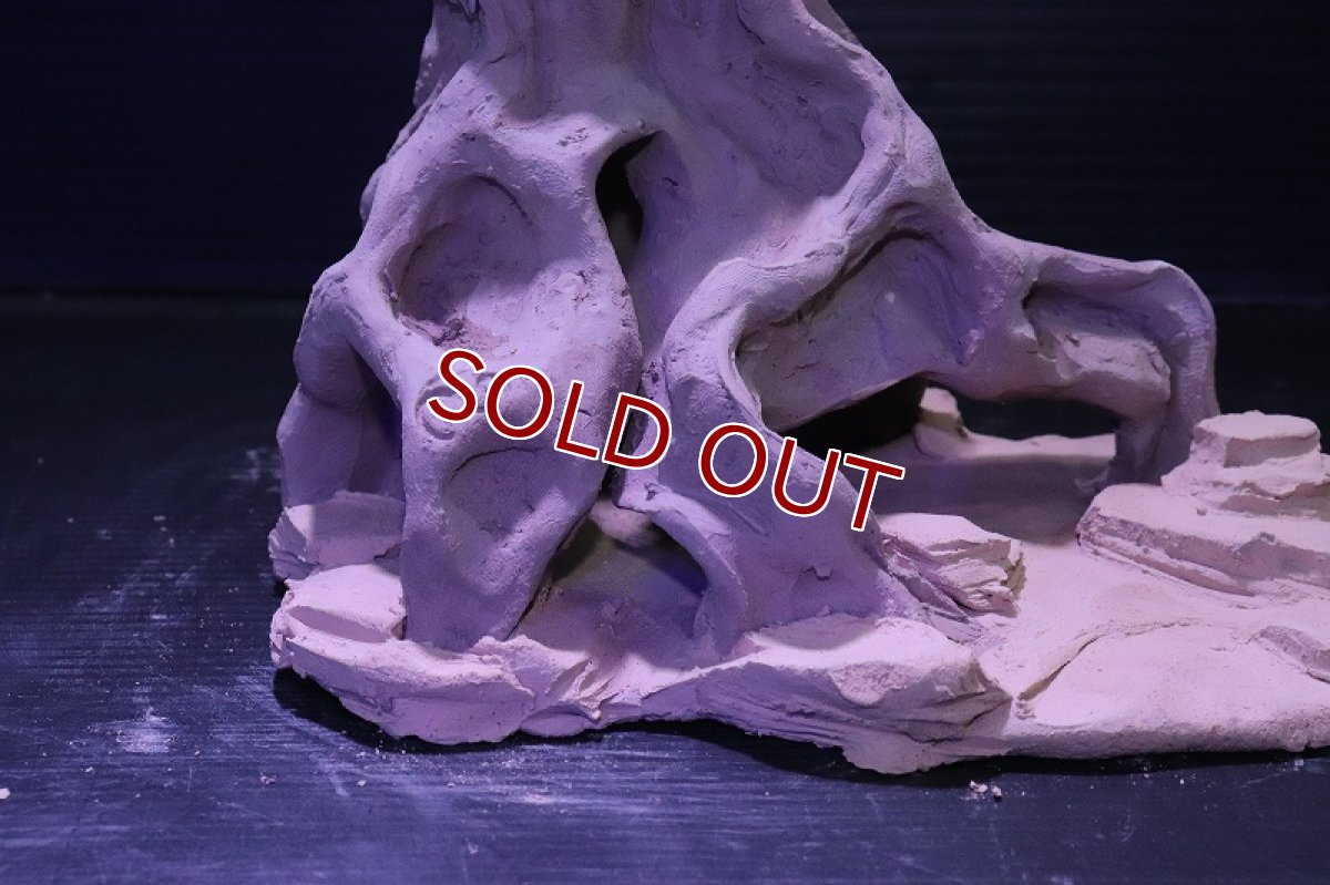 画像3: シェルタクラフタ No7 ROOTS Mサイズシェルター【個体販売】(淡水) (3)