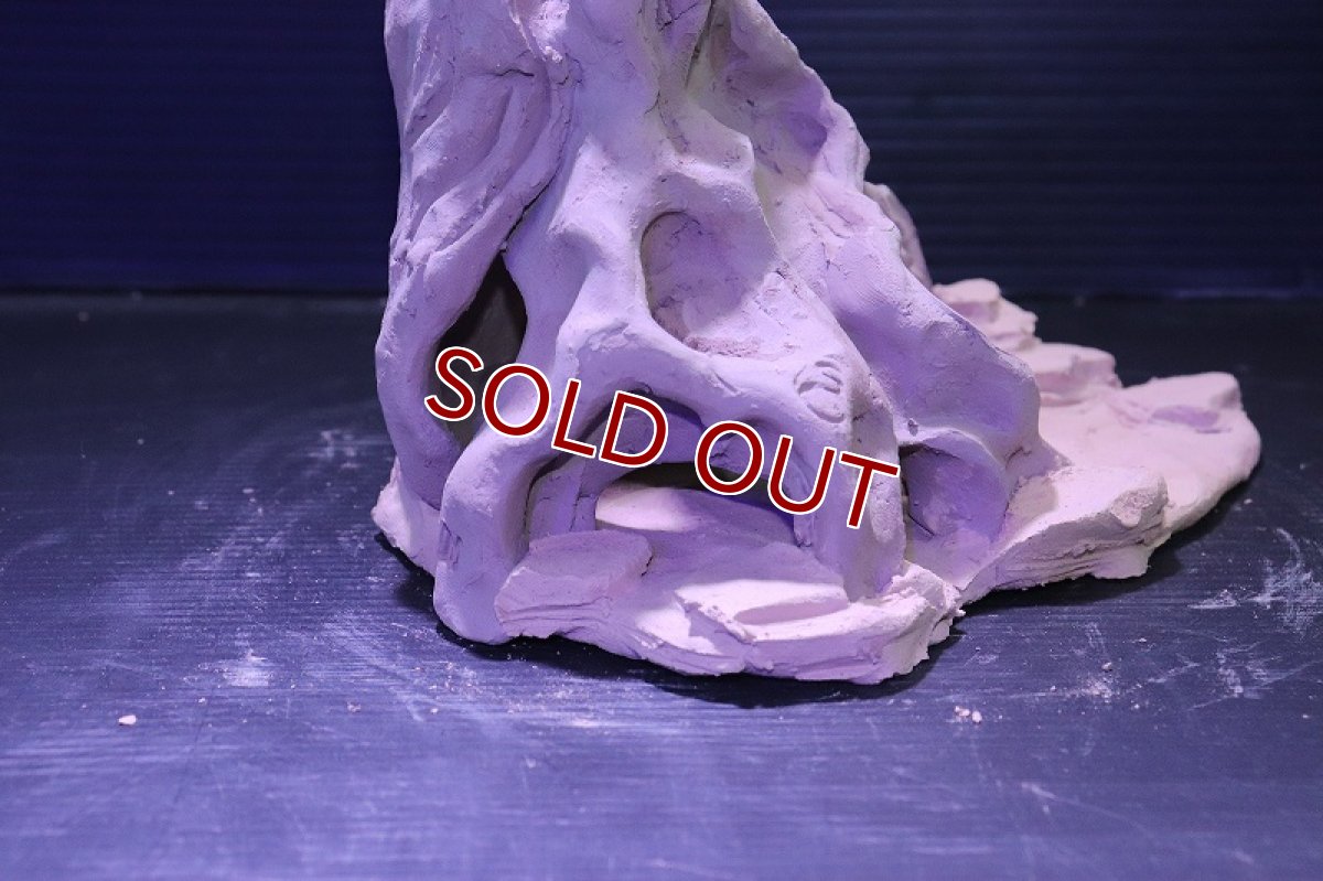 画像7: シェルタクラフタ No7 ROOTS Mサイズシェルター【個体販売】(淡水) (7)