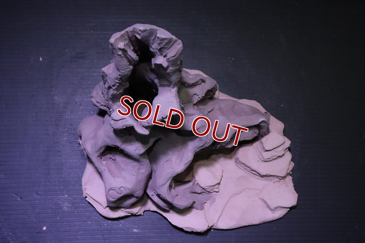 画像9: シェルタクラフタ No7 ROOTS Mサイズシェルター【個体販売】(淡水) (9)