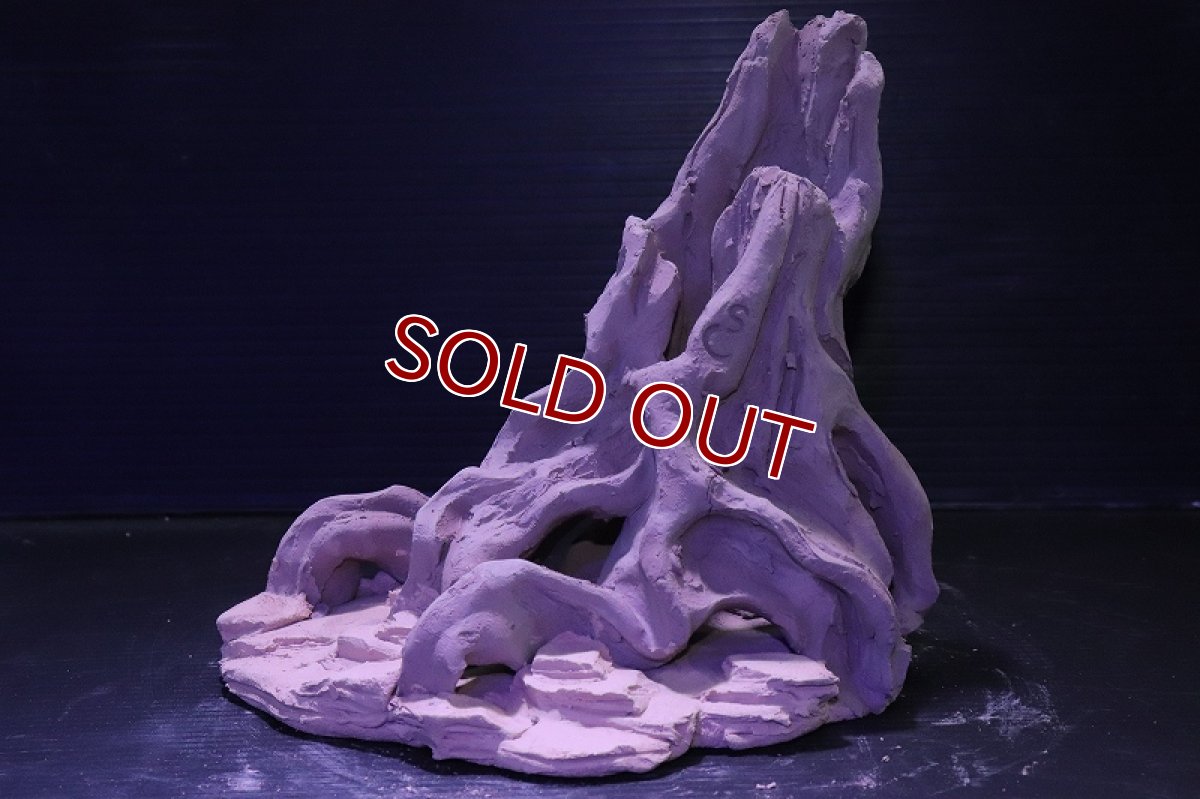 画像2: シェルタクラフタ No8 ROOTS Mサイズ シェルター【個体販売】(淡水) (2)