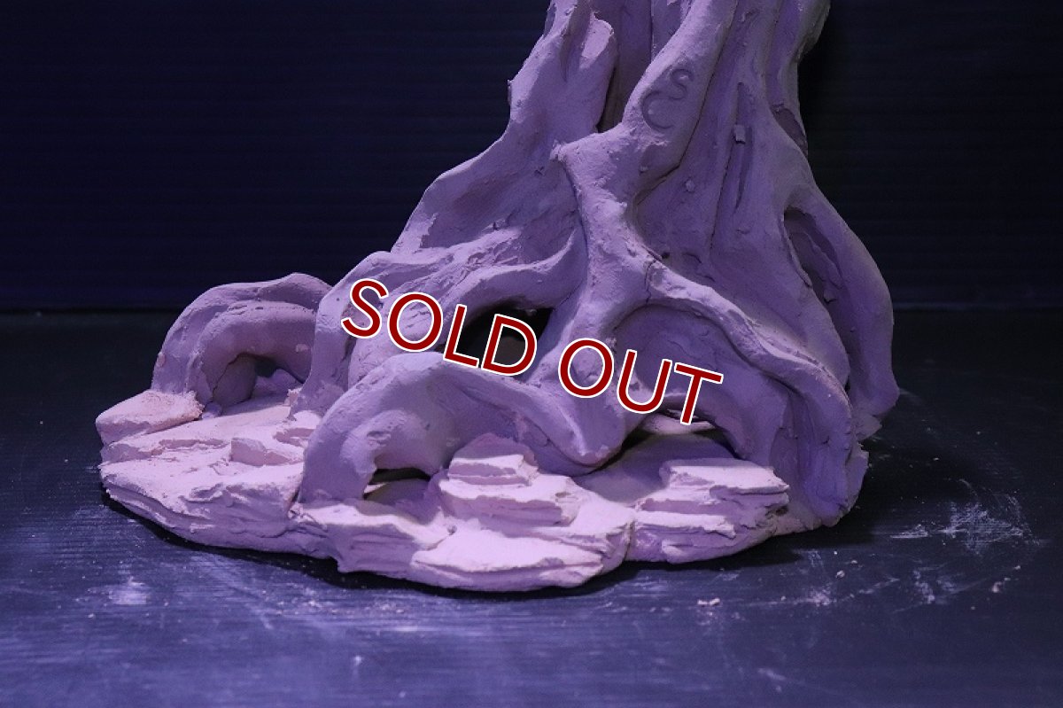 画像3: シェルタクラフタ No8 ROOTS Mサイズ シェルター【個体販売】(淡水) (3)