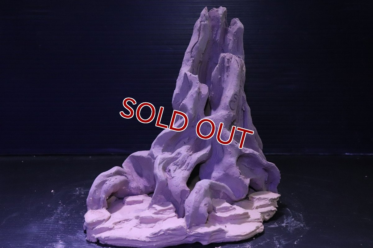 画像4: シェルタクラフタ No8 ROOTS Mサイズ シェルター【個体販売】(淡水) (4)